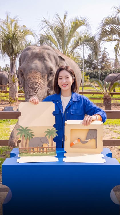 진행자가 두 가지 권종을 데모 테이블에서 펼쳐 보이는 장면