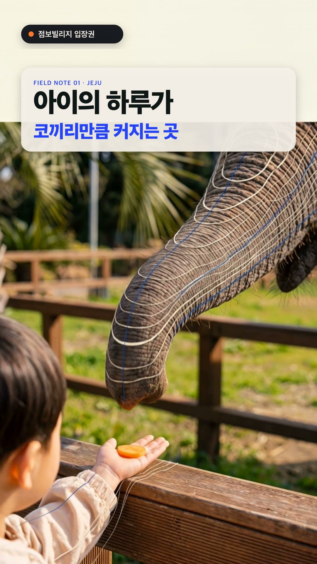 JUMBO VILLAGE — 아이의 하루가 코끼리만큼 커지는 곳